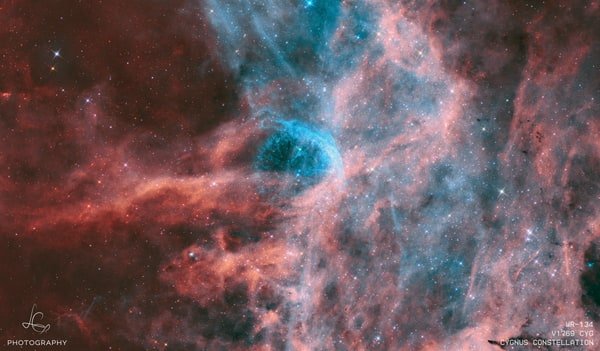 V1769 Cyg